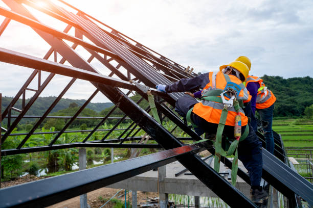 Best Metal Roofing Contractor  in Zwolle, LA