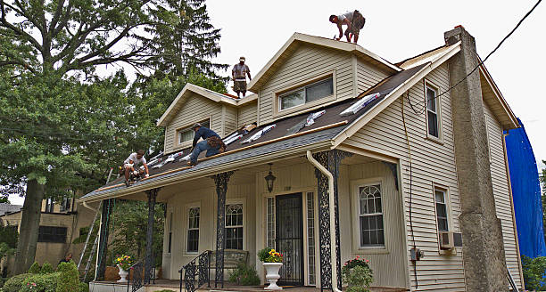 Best Emergency Roof Repair  in Zwolle, LA
